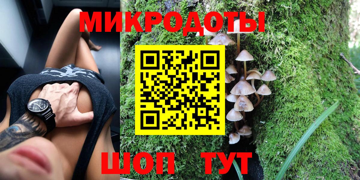 Псилоцибиновые грибы Psilocybine cubensis Горячий Ключ