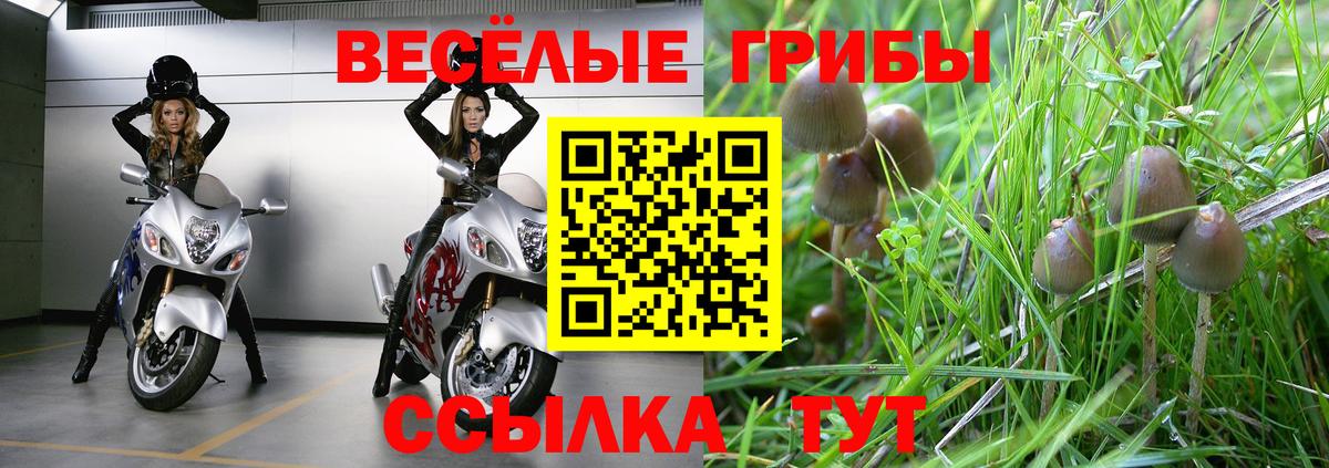 Псилоцибиновые грибы мухоморы  Галлюциногенные грибы мицелий  Вход с VPN  Горячий Ключ 